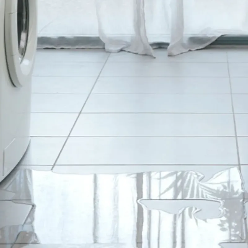 Appliance Leak Cleanup in Terra Bella, CA
